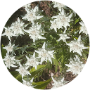 Bernhard Greiner Bernhard Greiner